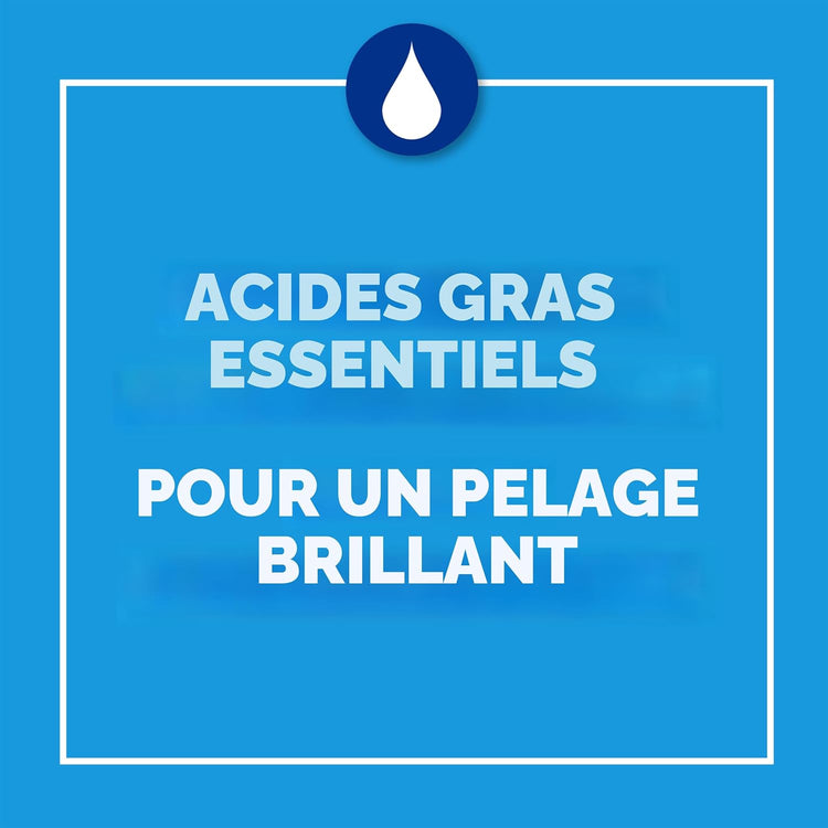 Purina® Cat Chow® Complete (8kg) - Chicken