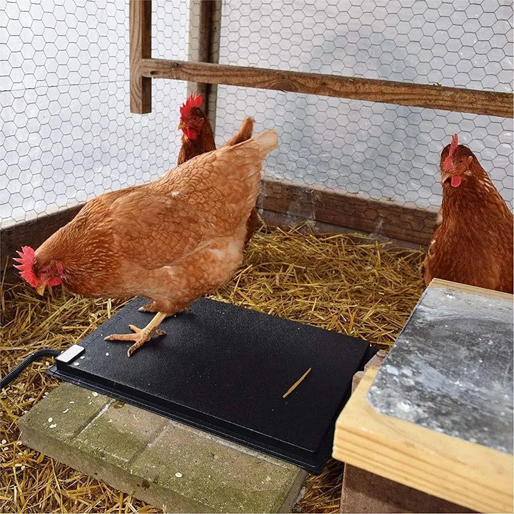 Farm Innovators - Chicken Heating Mat (60 Watts), HM-60P 