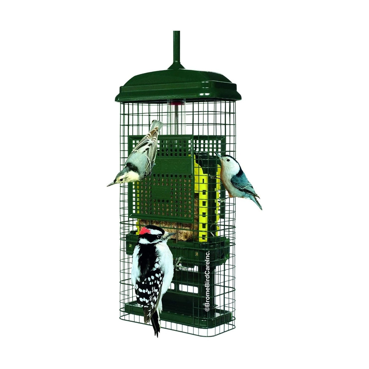 Squirrel Buster Suet Feeder