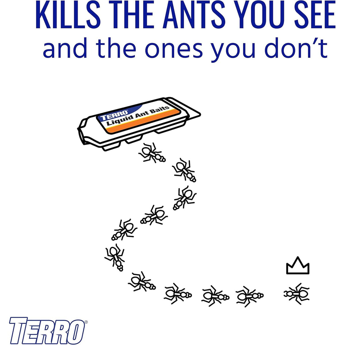 Appâts liquide pour fourmis, 2.2 oz - TERRO®