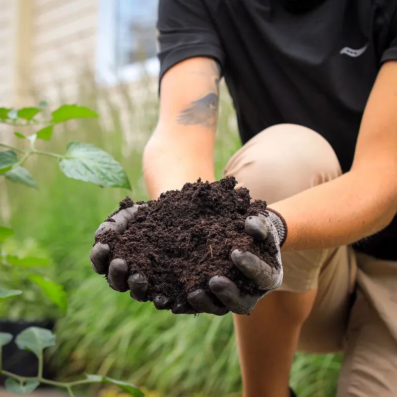 Terreau à jardin universel Miracle-Gro®, 50 L