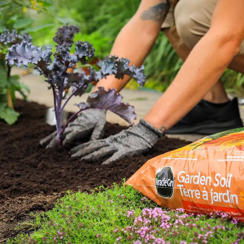Terreau à jardin universel Miracle-Gro®, 50 L