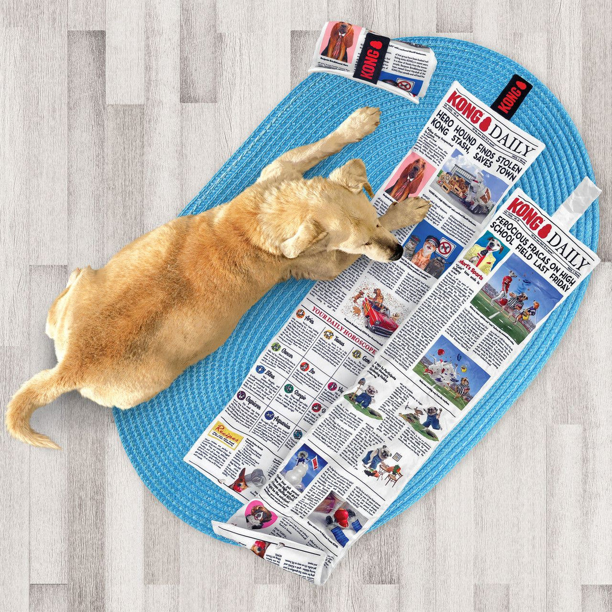 Journal du Jour KONG Très Grand - KONG