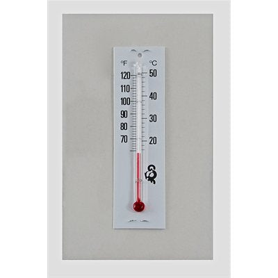 Incubator thermometer