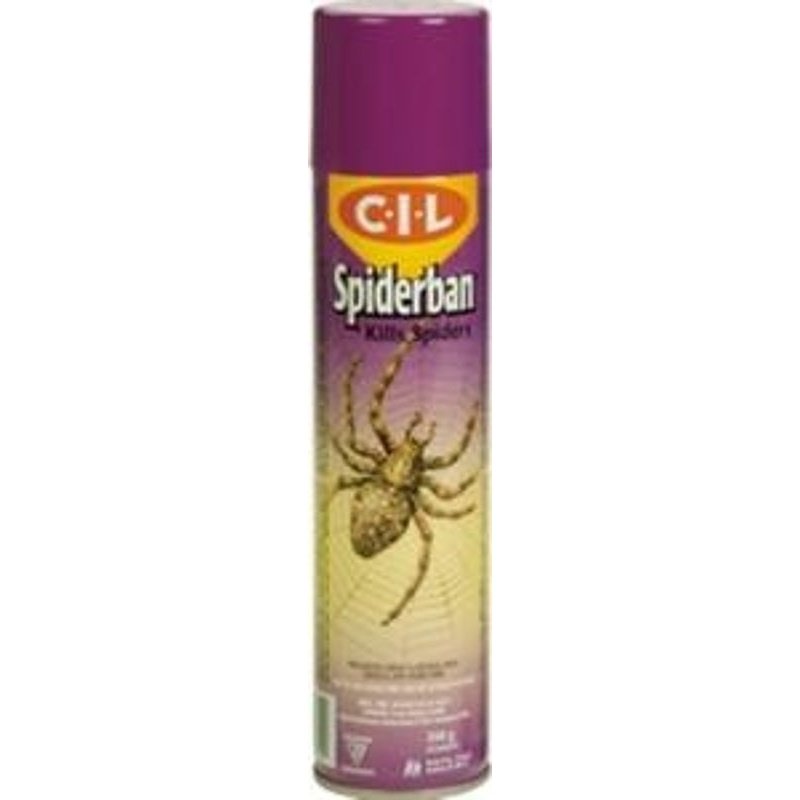 One Shot Spider Killer, 425 g | FG EDWARDS