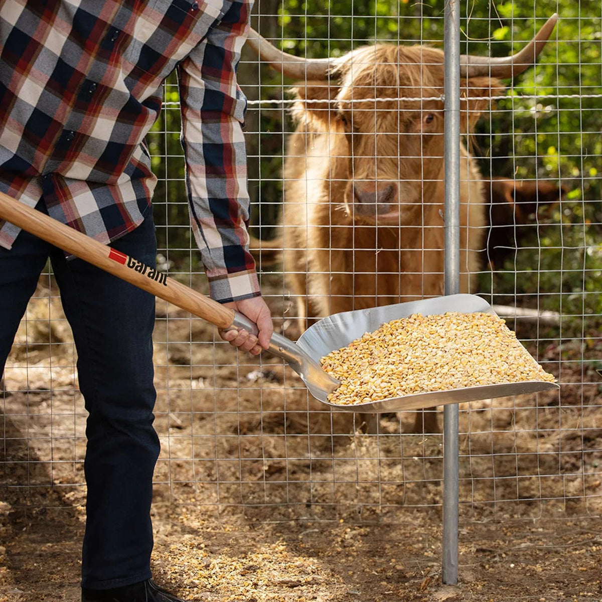 Garant - Large-Capacity Aluminum Grain Scoop