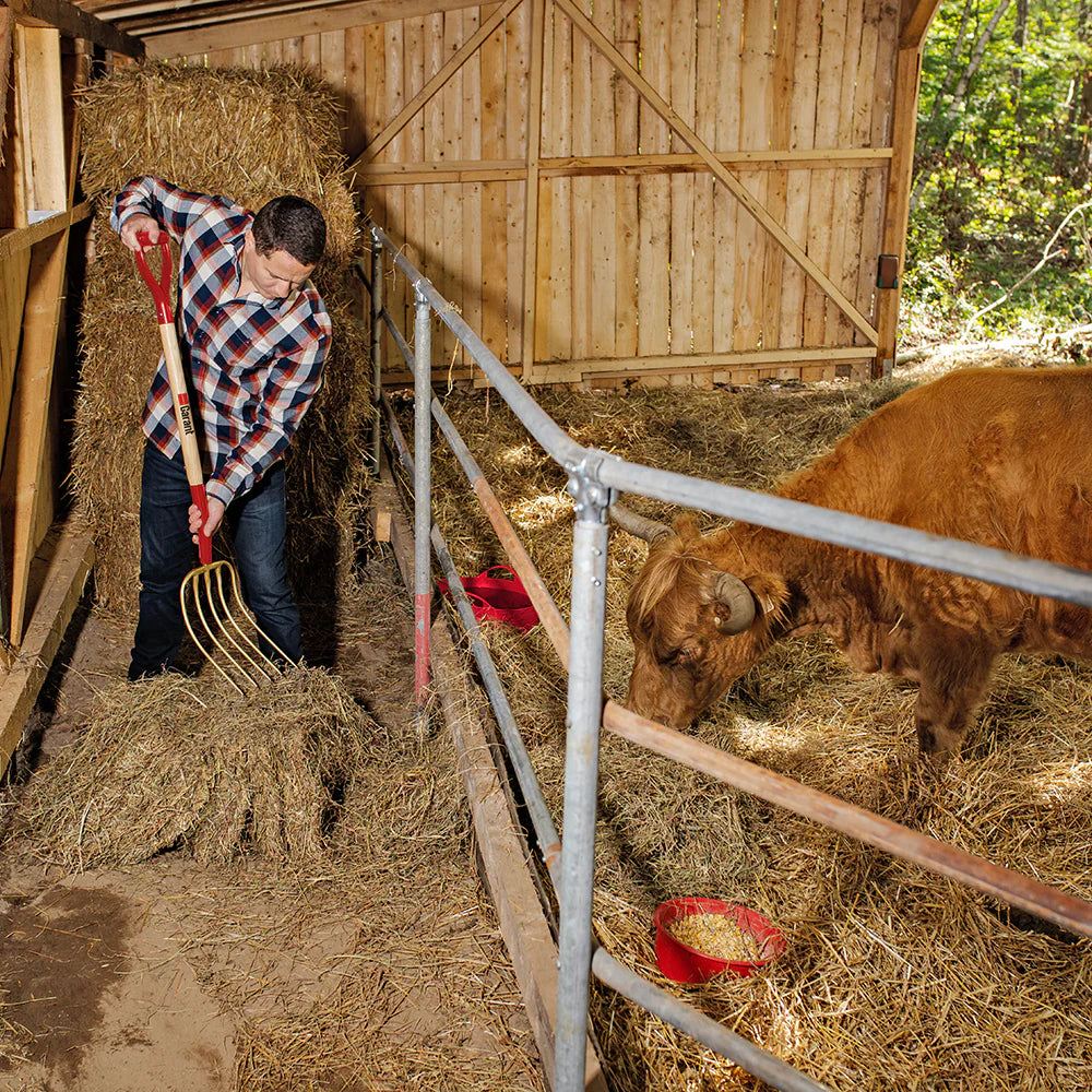 Garant - Manure Fork, 5 Tines 