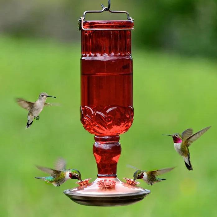 Perky-Pet® - Hummingbird Feeder in 24 oz Red Glass Bottle 