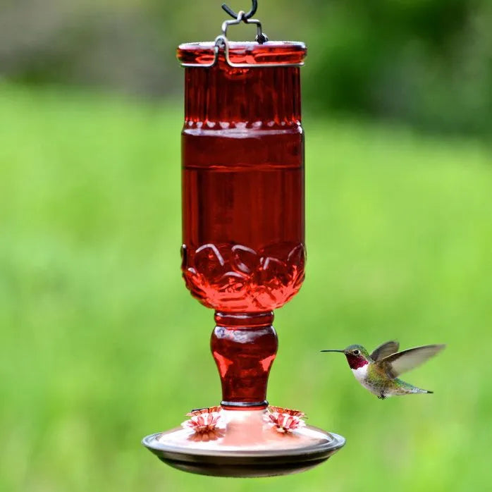 Perky-Pet® - Hummingbird Feeder in 24 oz Red Glass Bottle 