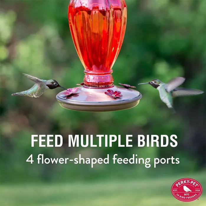 Perky-Pet® Daisy Vase Vintage Glass Hummingbird Feeder