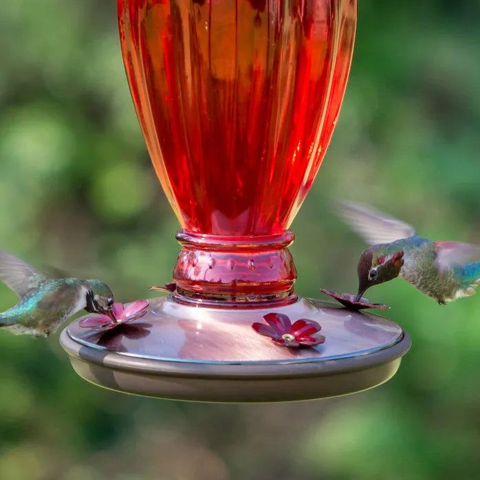 Perky-Pet® Daisy Vase Vintage Glass Hummingbird Feeder