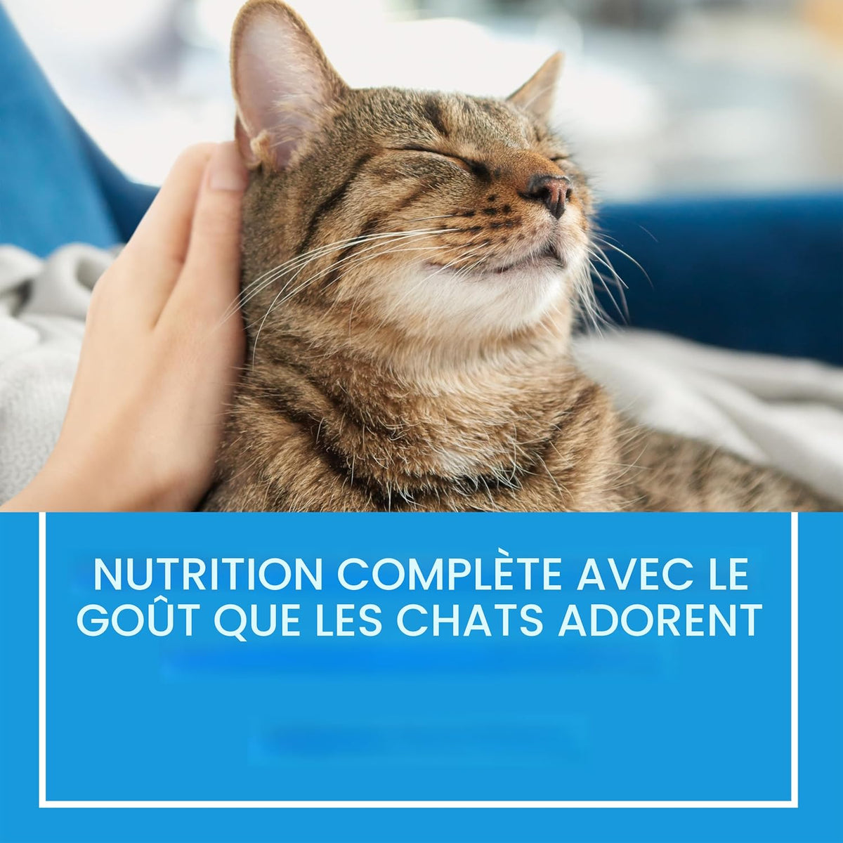Purina® Cat Chow® Complete (8kg) - Poulet
