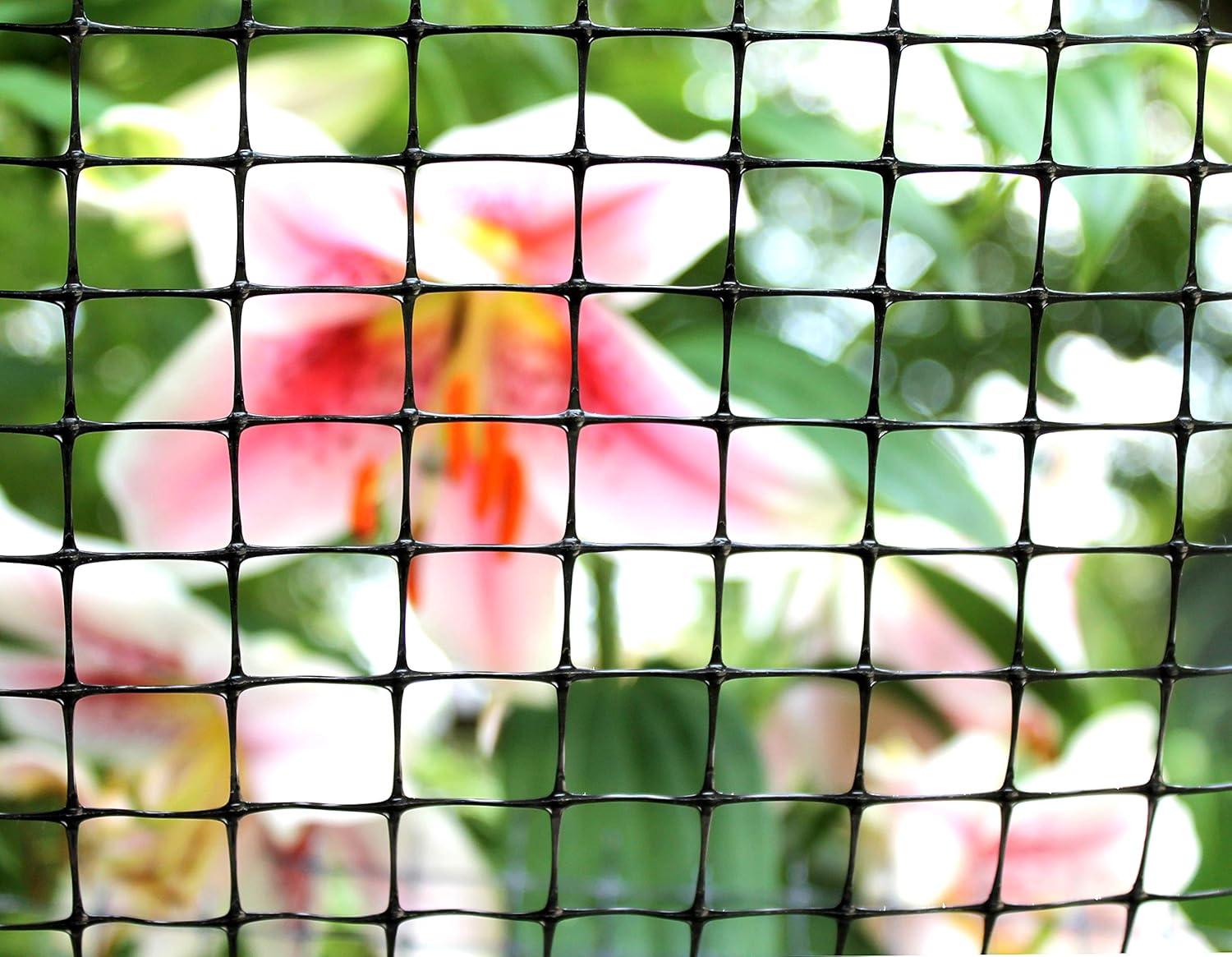 Filet multifonction en plastique pour arbes et arbustes (4' x 50') - TENAX