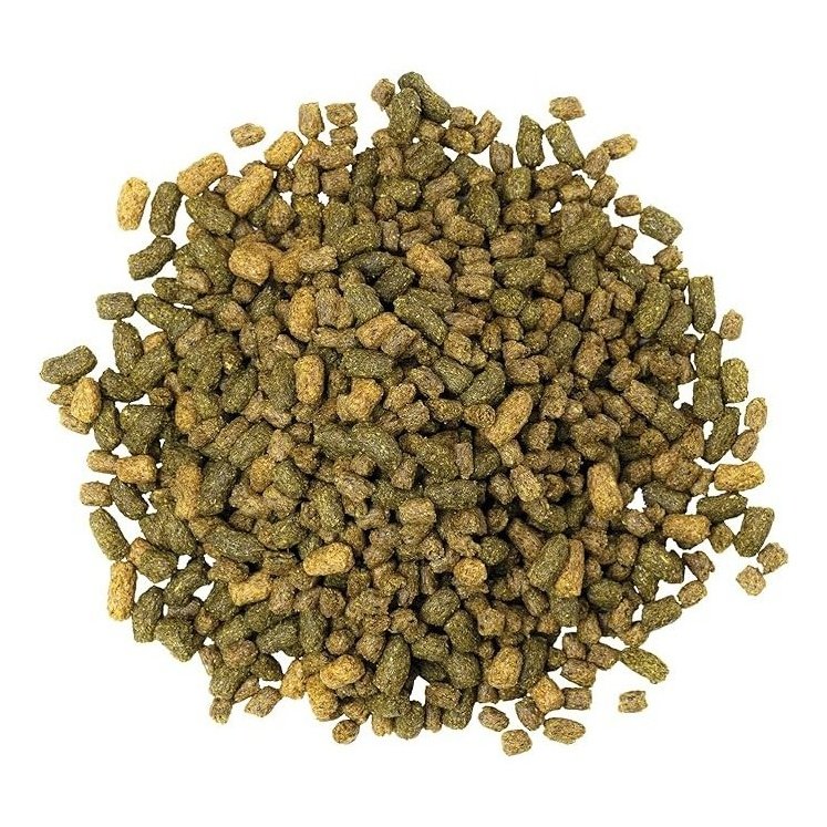 Blue Seal - Sentinel Performance LS