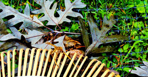 TENAX - Multipurpose Plastic Net for Trees and Shrubs (4' x 50')