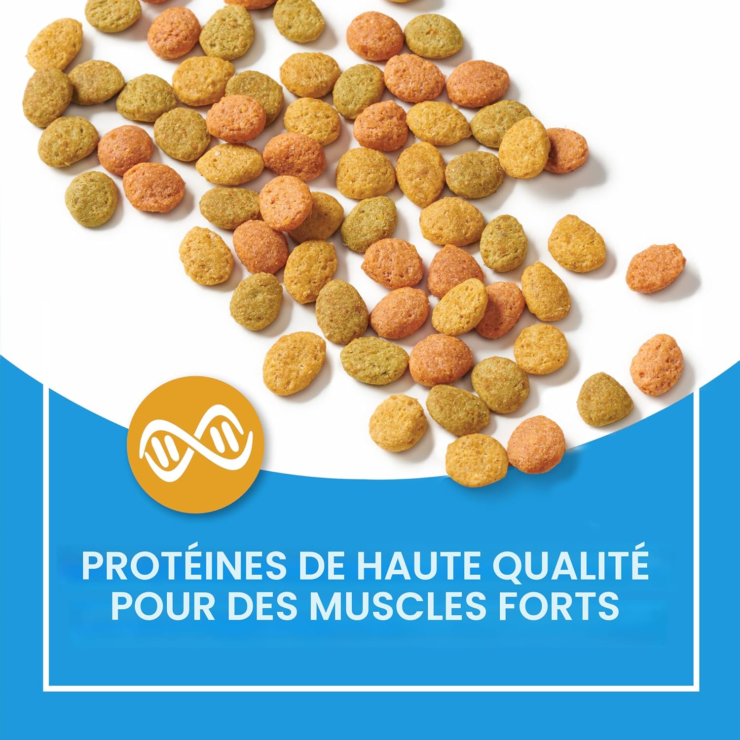 Purina® Cat Chow® Complete (8kg) - Poulet