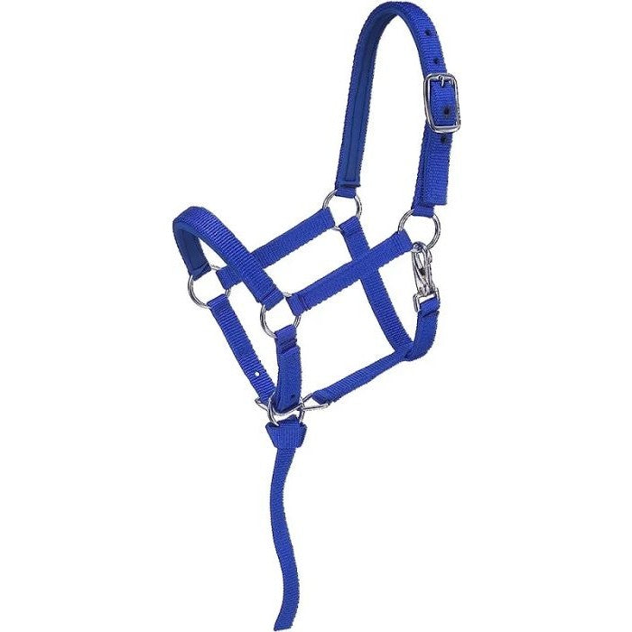 Licol mini en nylon pour poulain sevré ou moyen - Ger-Ryan
