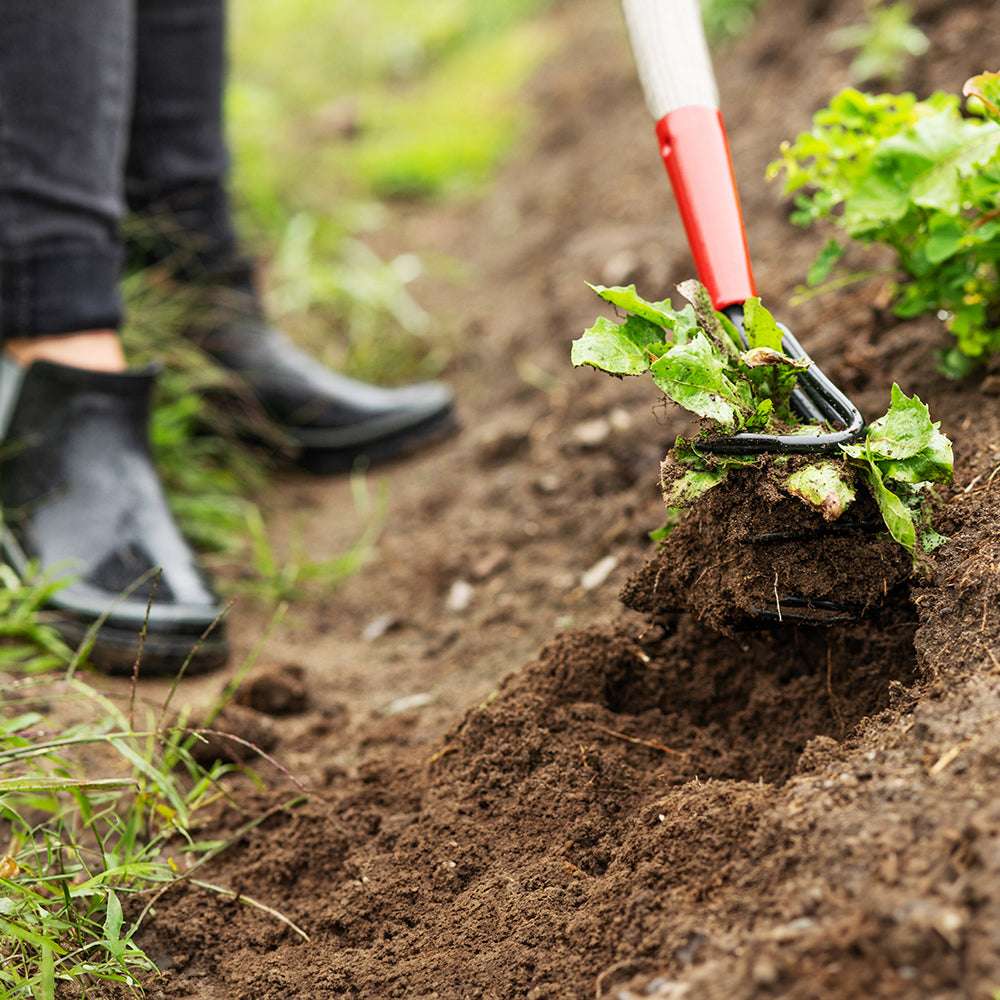 5-tine cultivator - Guaranteed