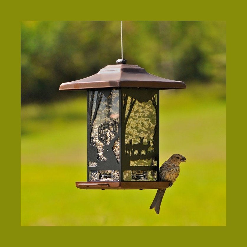 Perky-Pet® Wilderness Lantern Wild Bird Feeder