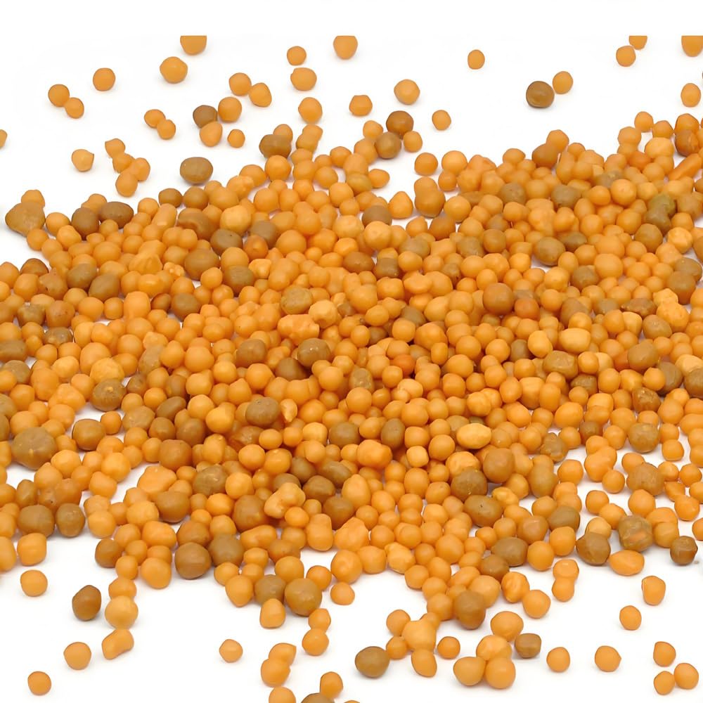 Osmocote® - Slow Release Plant Fertilizer (14-14-14)