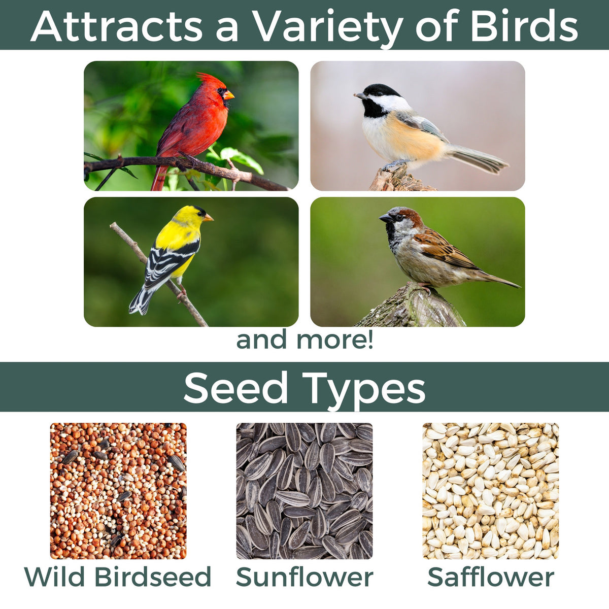 North States Village Collection - Green Barn Bird Feeder 