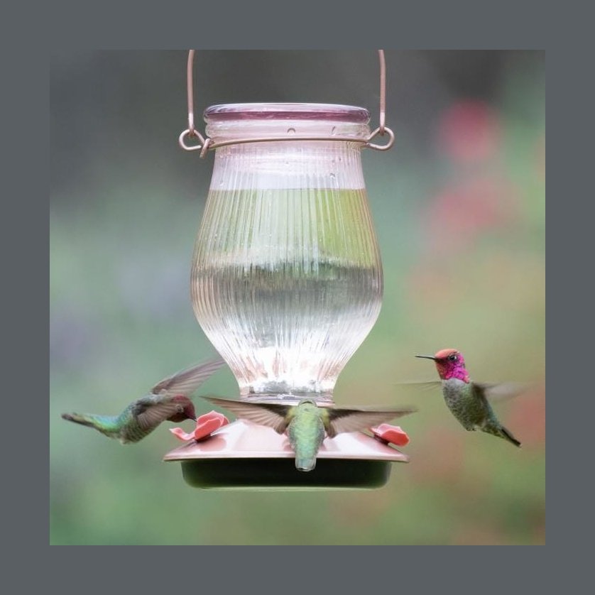Perky-Pet® Rose Gold Top-Fill Glass Hummingbird Feeder