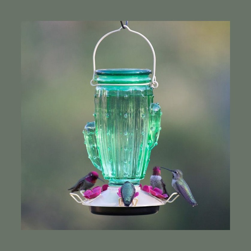 Mangeoire pour colibris style cactus - Perky-Pet®