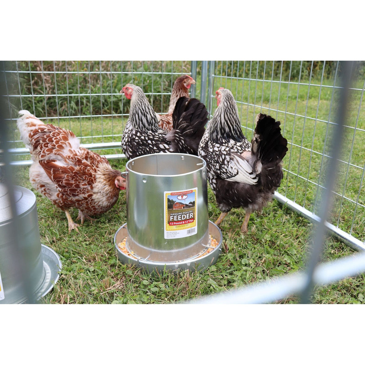 Little Giant - 12 Pound Hanging Metal Poultry Feeder