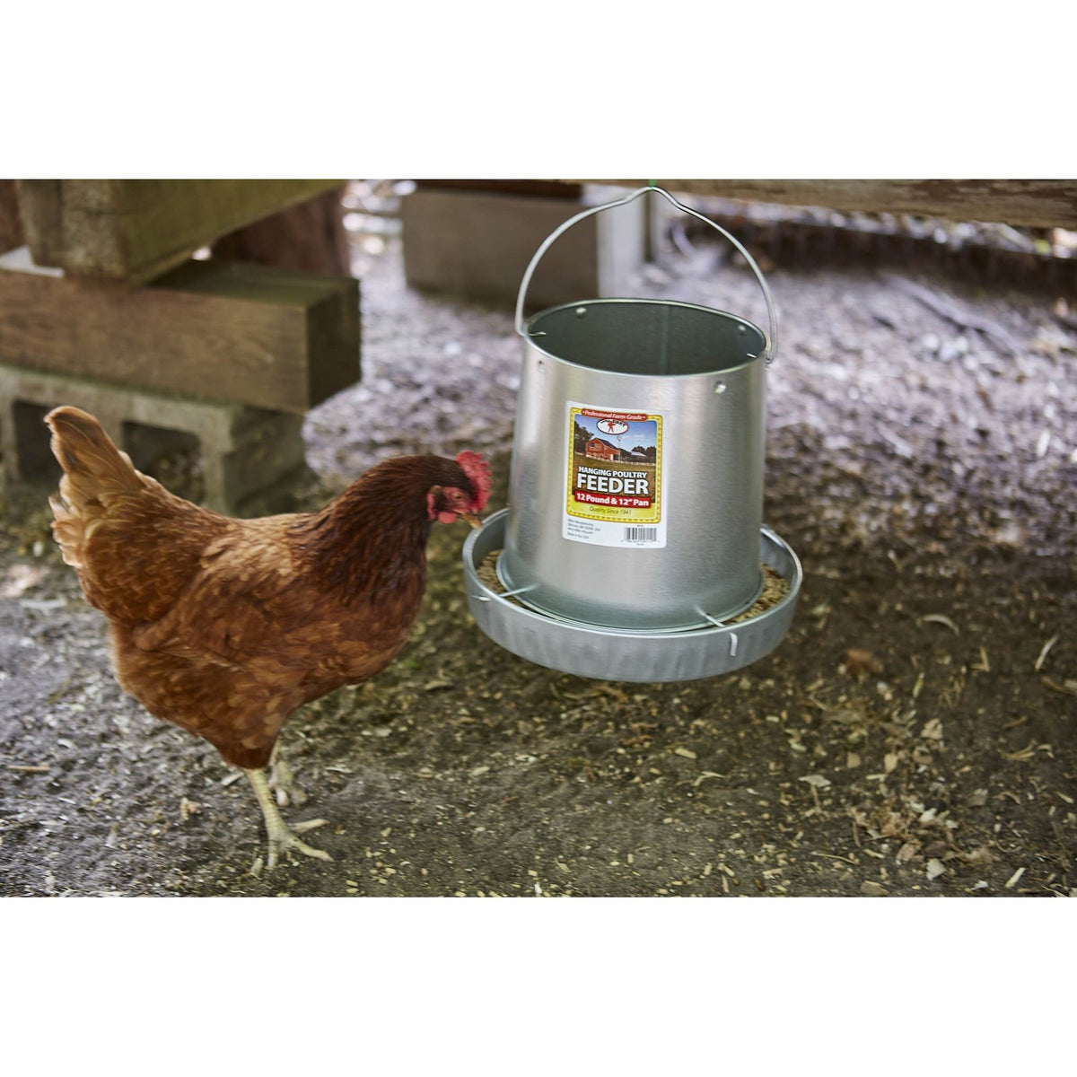 Little Giant - 12 Pound Hanging Metal Poultry Feeder