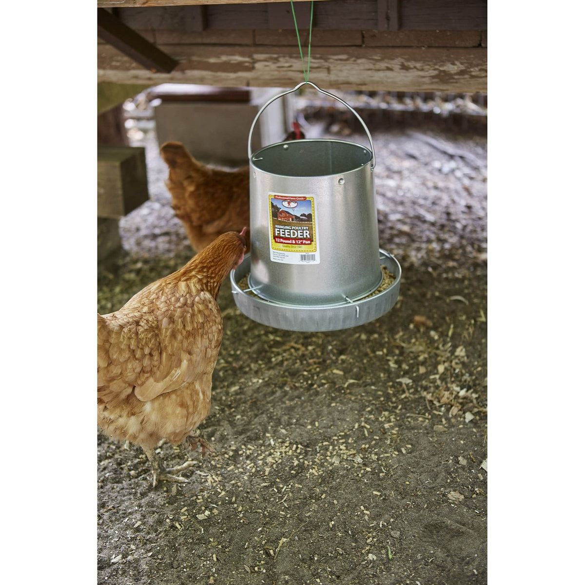 Little Giant - 12 Pound Hanging Metal Poultry Feeder
