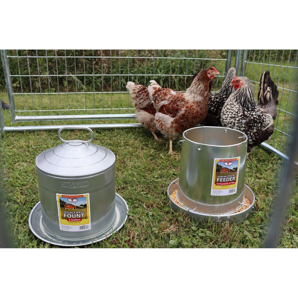 Little Giant - 12 Pound Hanging Metal Poultry Feeder