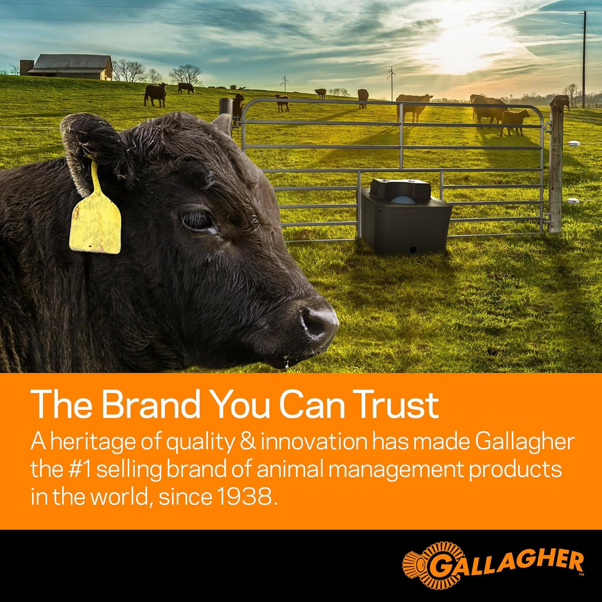 Gallagher - MBS400 Dual Power Fence Energizer 