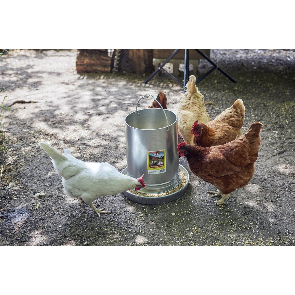 Little Giant - 30-Pound Hanging Metal Poultry Feeder