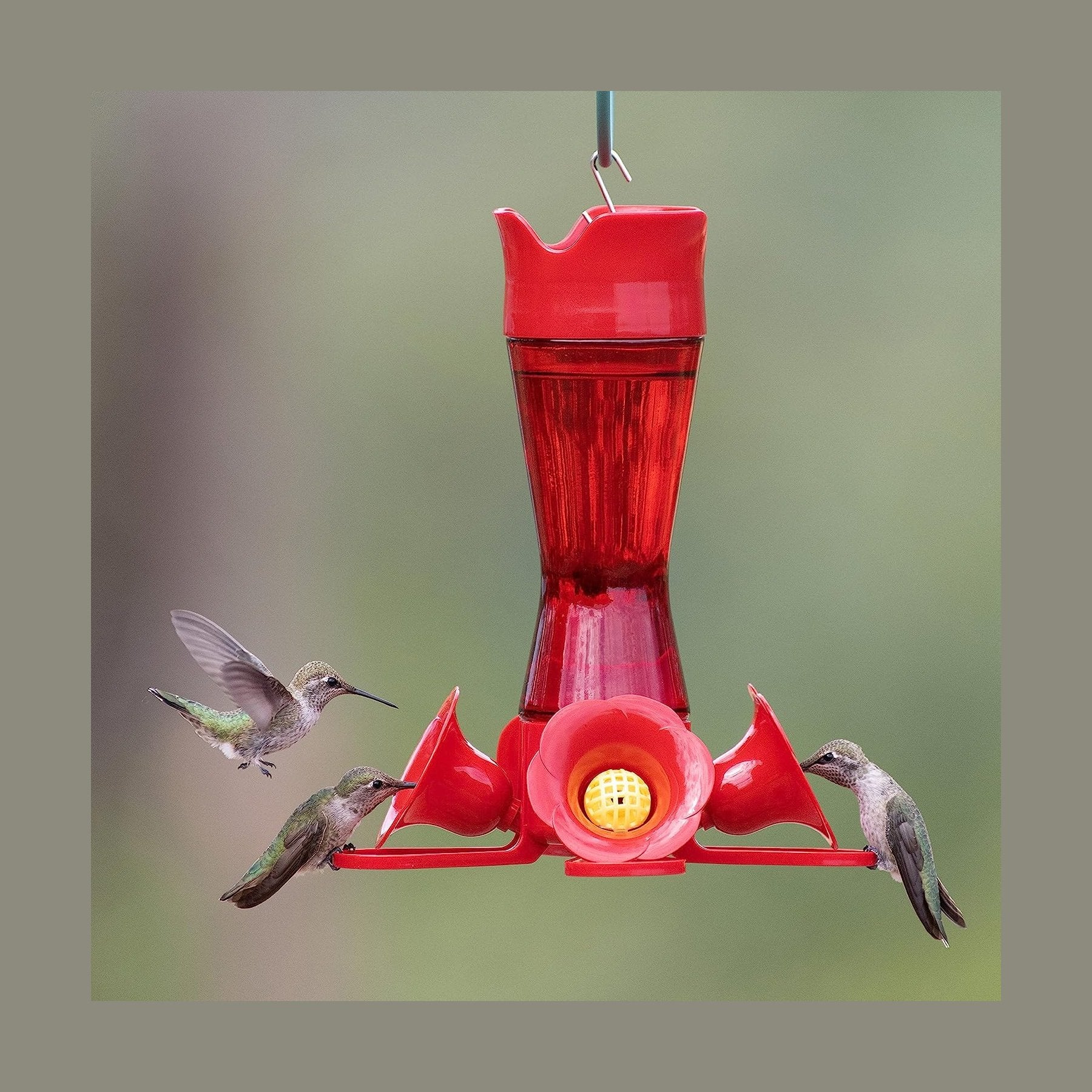 Mangeoire pour colibris en verre rouge à taille pincée - Perky-Pet