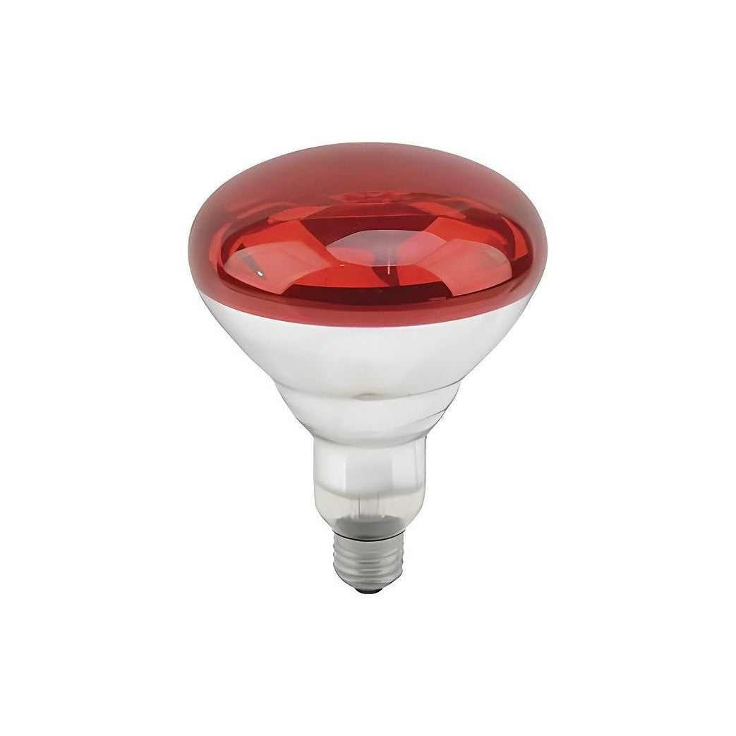 Ampoule infrarouge chauffante en verre (250w) - Bell Link