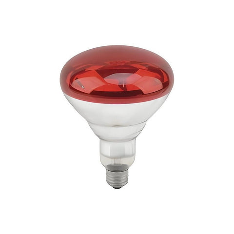 Infrared heating bulb in glass (250w) - Bell Link