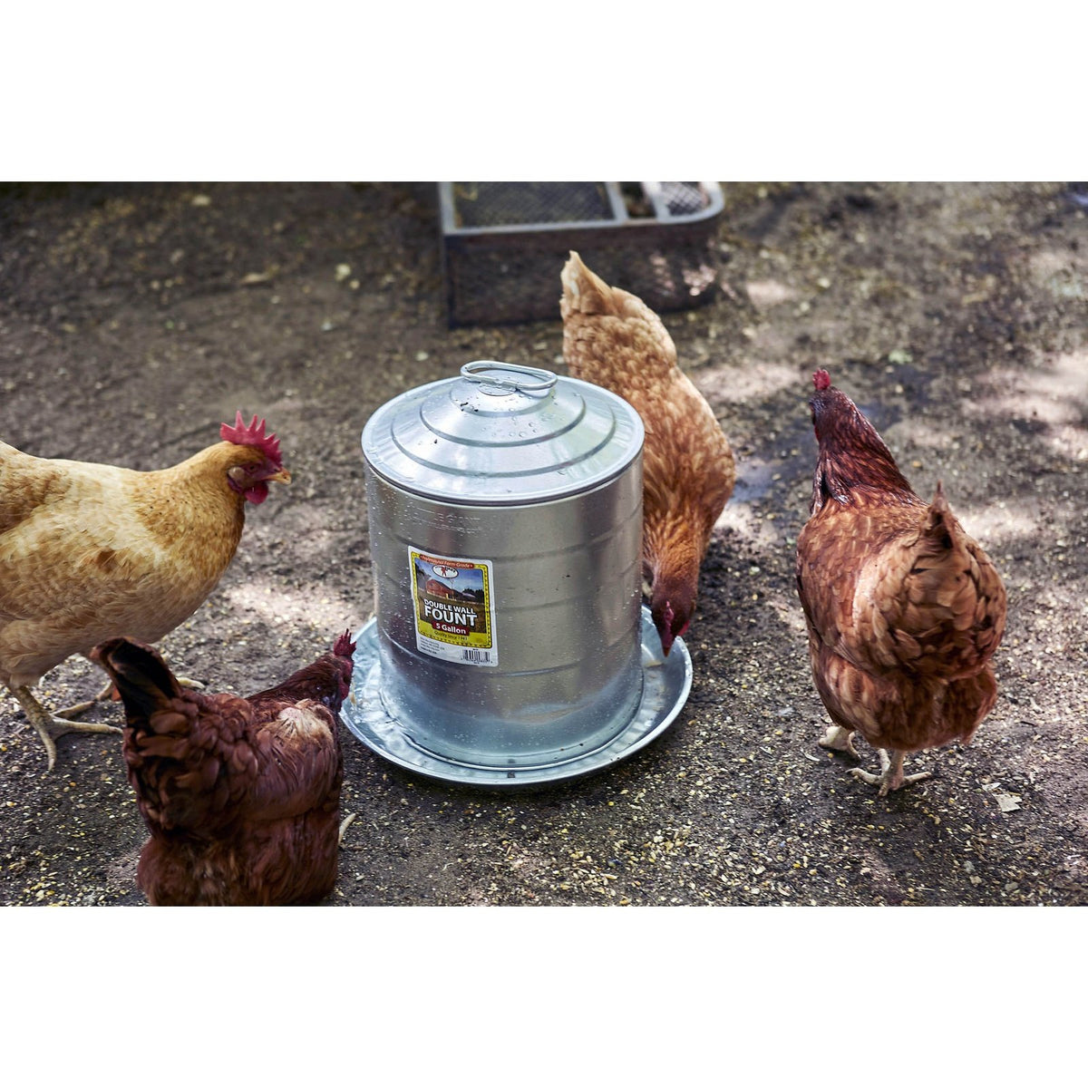 Abreuvoir pour volailles en acier galvanisé, 5 gallons - Little Giant