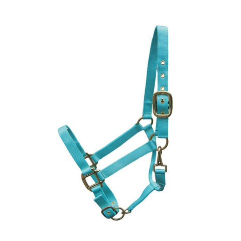 Adjustable nylon halter for cob - Ger-Ryan