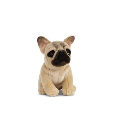 Bouledogue Français Living Nature