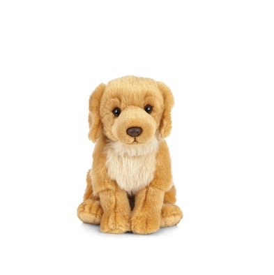 Golden Retriever Living Nature