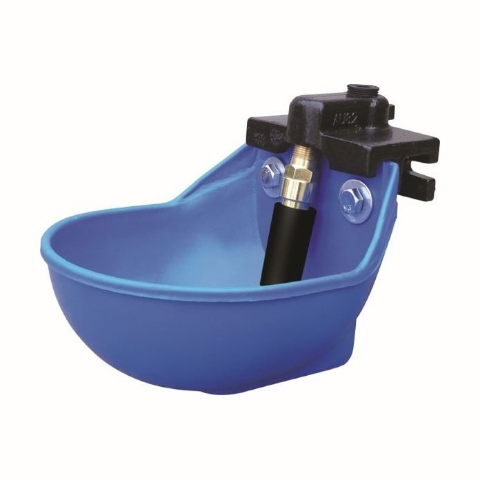 Plastic water bowl with molding