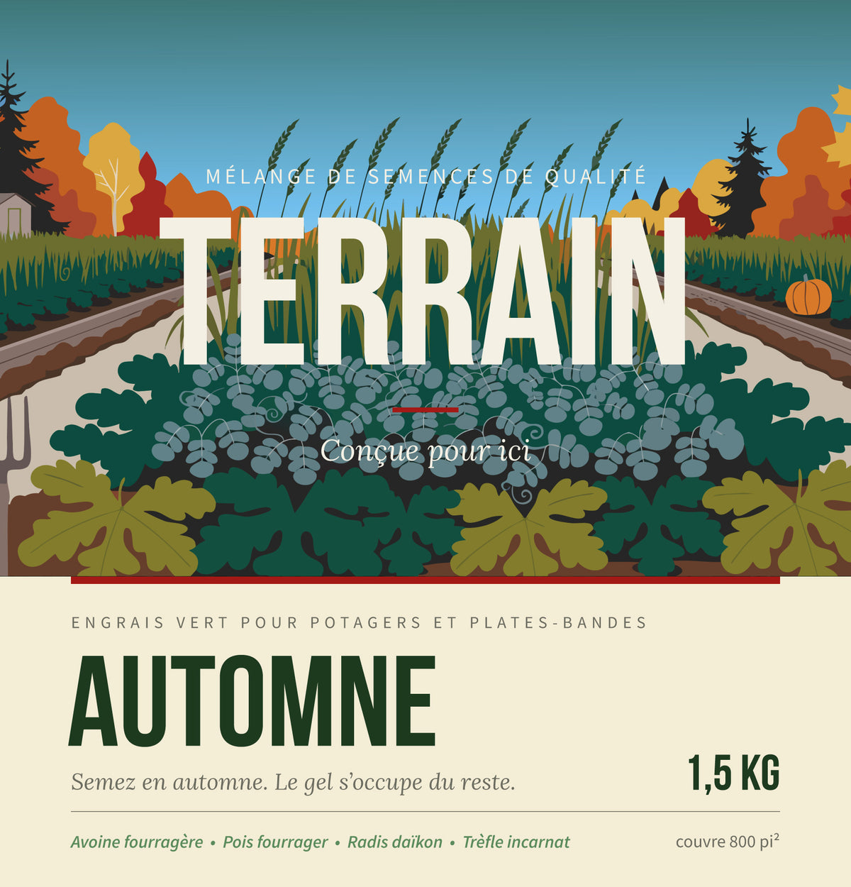 TERRAIN AUTOMNE — Engrais vert d'automne