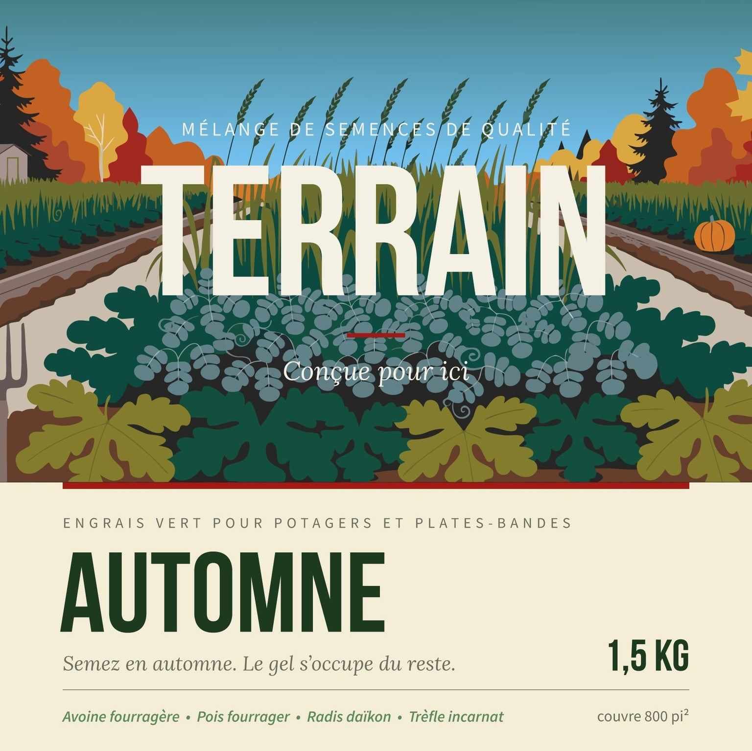 TERRAIN AUTOMNE — Engrais vert d'automne