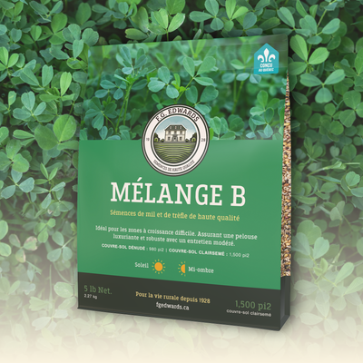 Mélange B - couvre sol