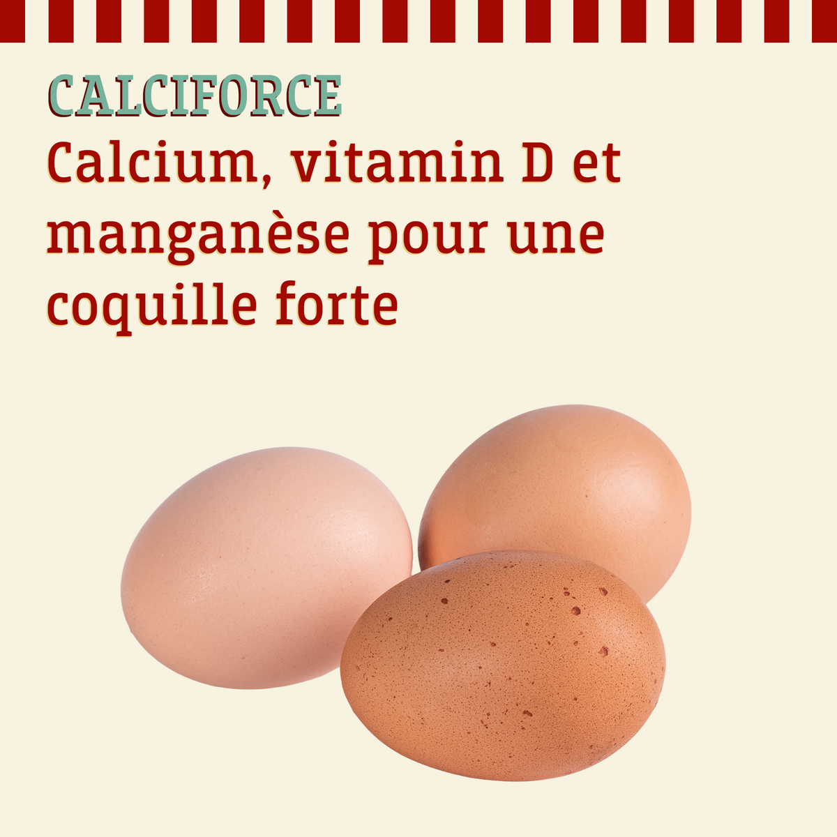 Calciforce: calcium, vitamin D et manganèse pour une coquille forte