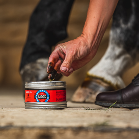 Carr & Day & Martin - Cornucrescine Original Hoof Ointment