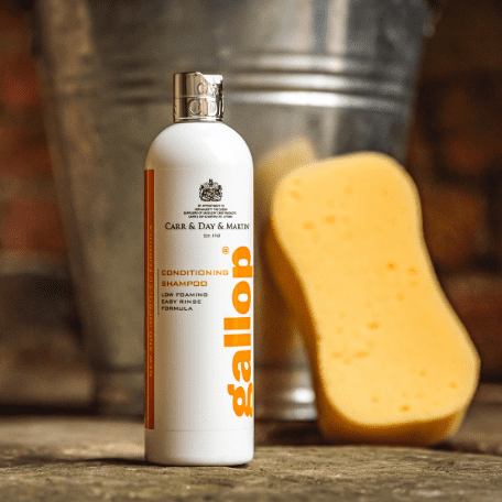 Carr & Day & Martin - Gallop® Conditioning Shampoo
