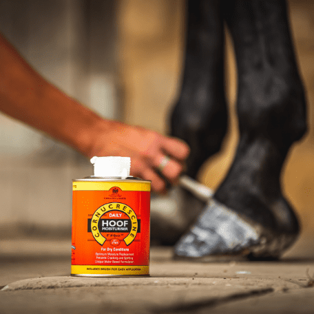 Carr & Day & Martin - Cornucrescine Daily Hoof Moisturizer