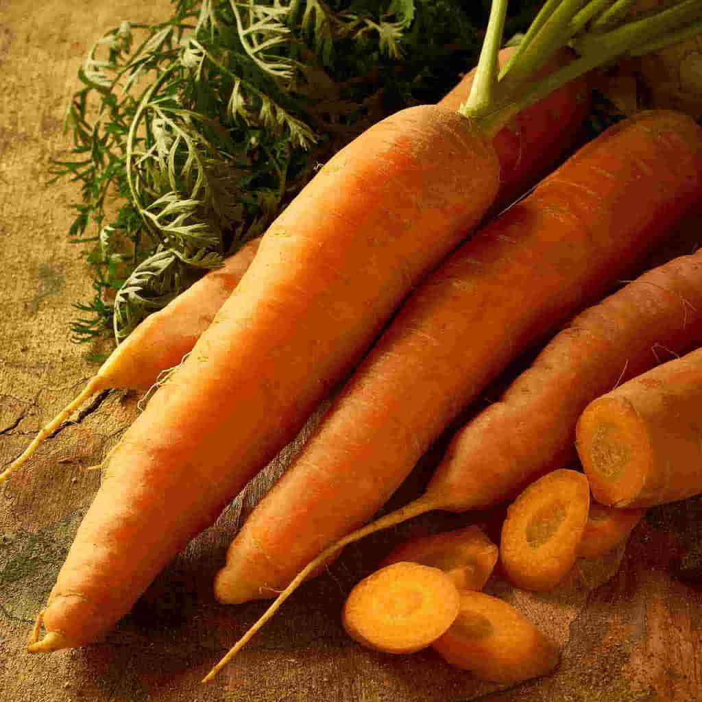Carrot Srarlet Nantes Strip