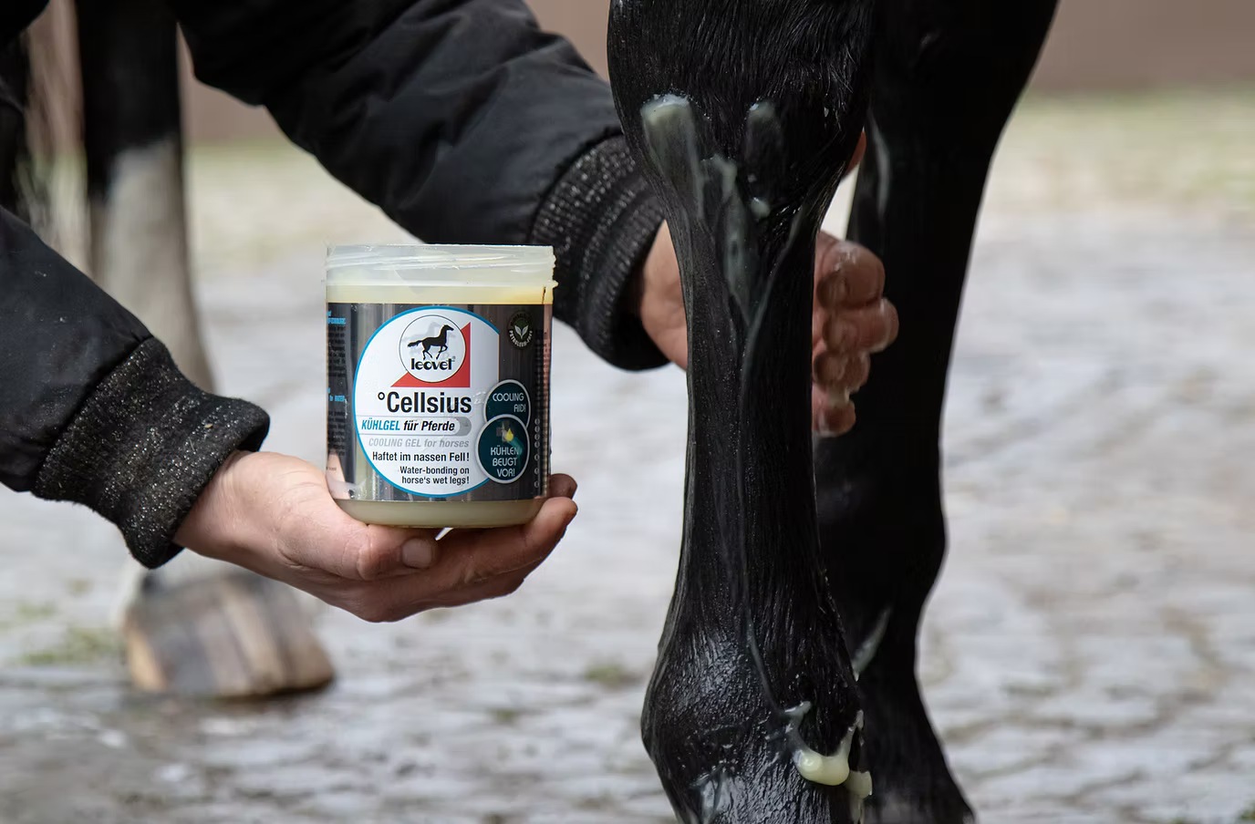 Gel liniment rafraîchissant Cellsius, (600 ml) - Leovet